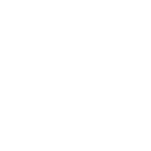 saniawatch - rolex