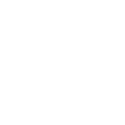saniawatch - jacob & co