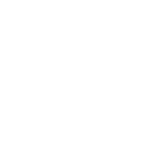 saniawatch - panerai