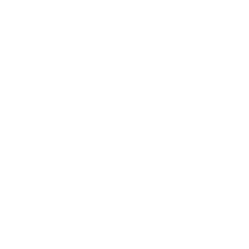 saniawatch - audemars piguet